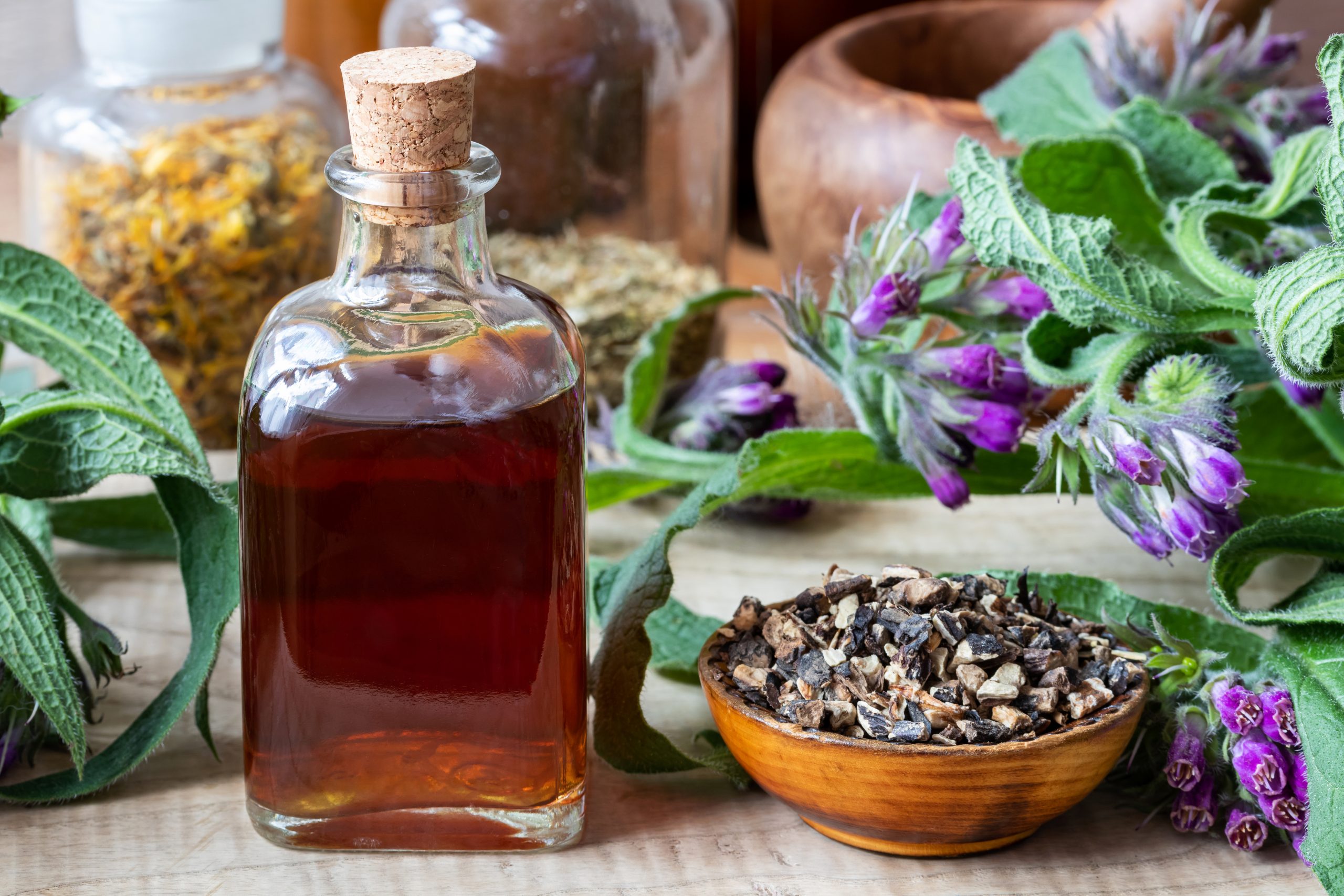 Comfrey tincture with fresh symphytum officinale plant and dried root helping to support painful sex a menopause symptom